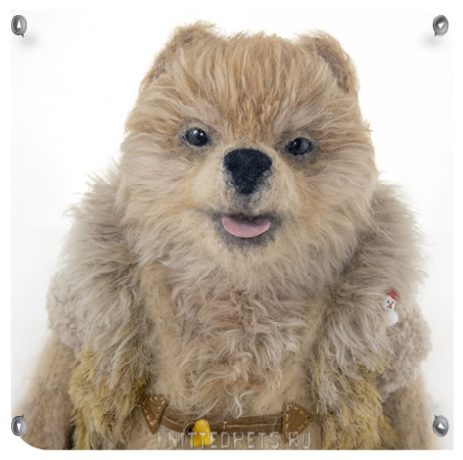 Pomeranian Spitz knitted interior toy
